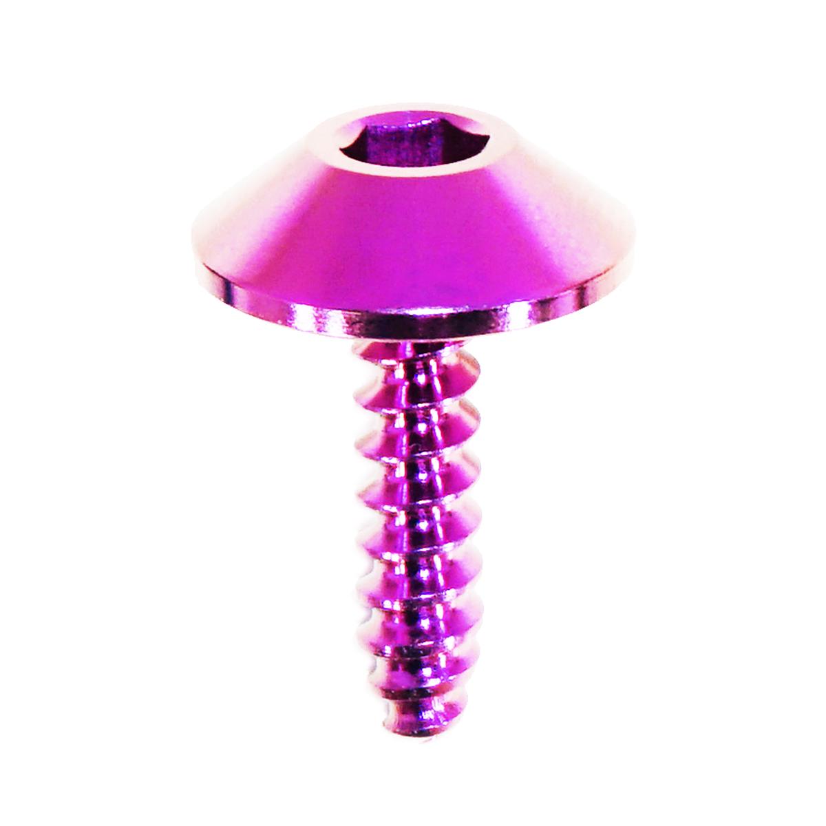 ZSPEC Angled Coarse M4x16mm Fastener, Titanium Grade-5, per Each - Purple